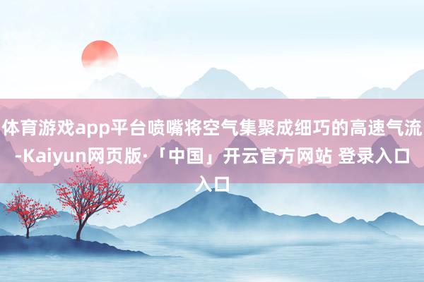 体育游戏app平台喷嘴将空气集聚成细巧的高速气流-Kaiyun网页版·「中国」开云官方网站 登录入口